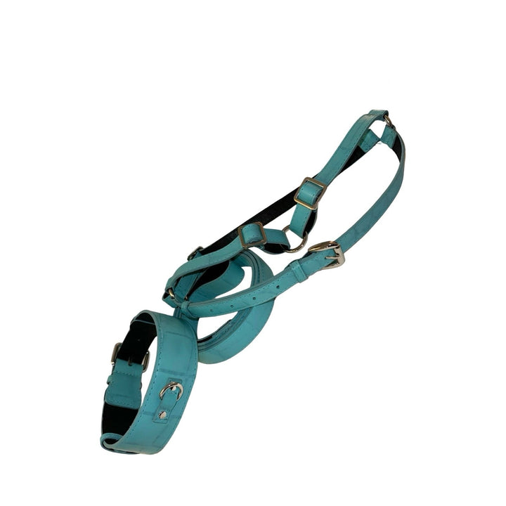 The Tiffany Collection. Gorgeous Turquoise Blue Embossed Croc Italian Leather Collar, Leash &amp; Harness Set, With Our Classic Hardware