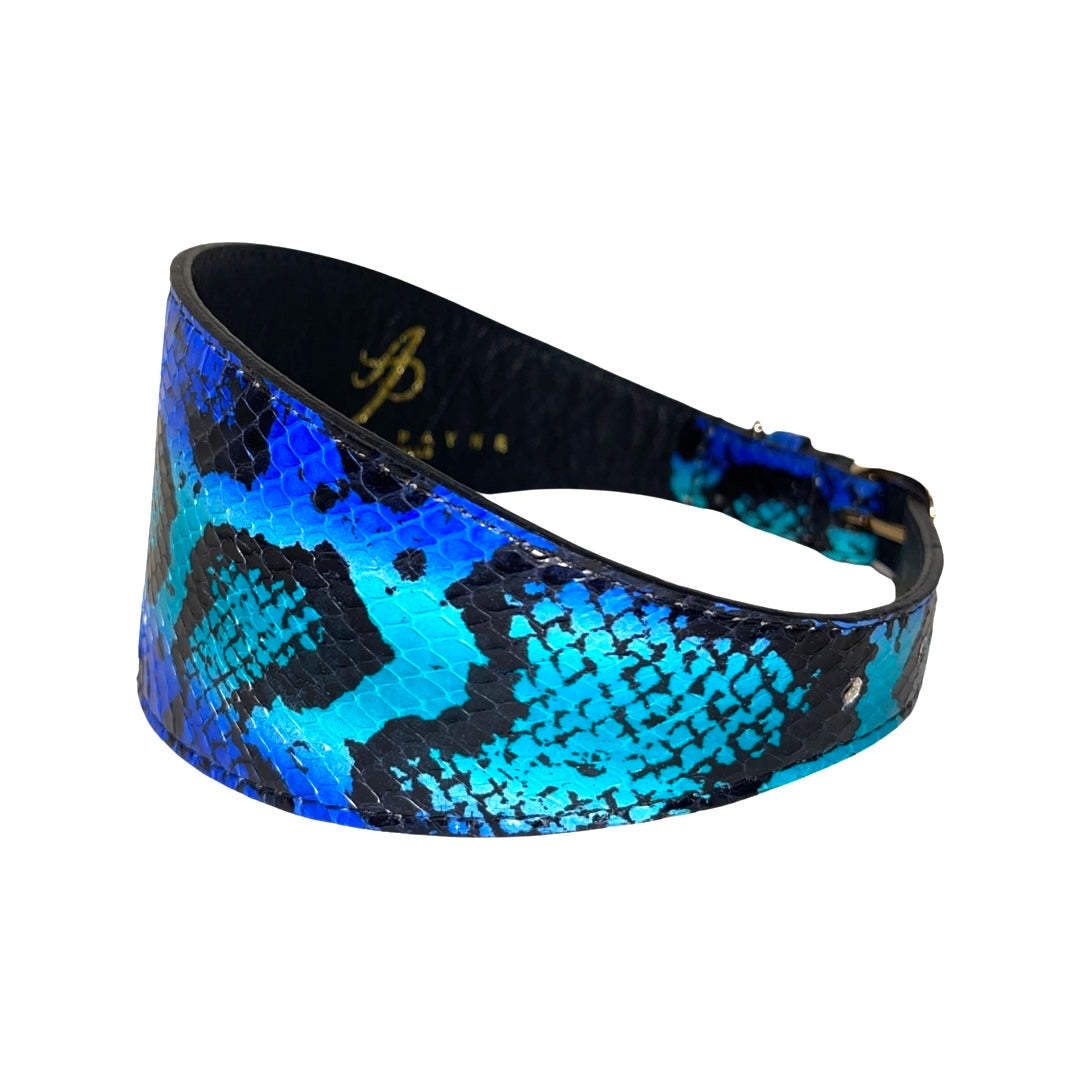 Electric/Turquoise Blue &amp; Black 3” Wide Style Collar