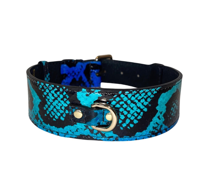 Electric/Turquoise Blue &amp; Black Snake Classic Collar With Gold Classic Hardware