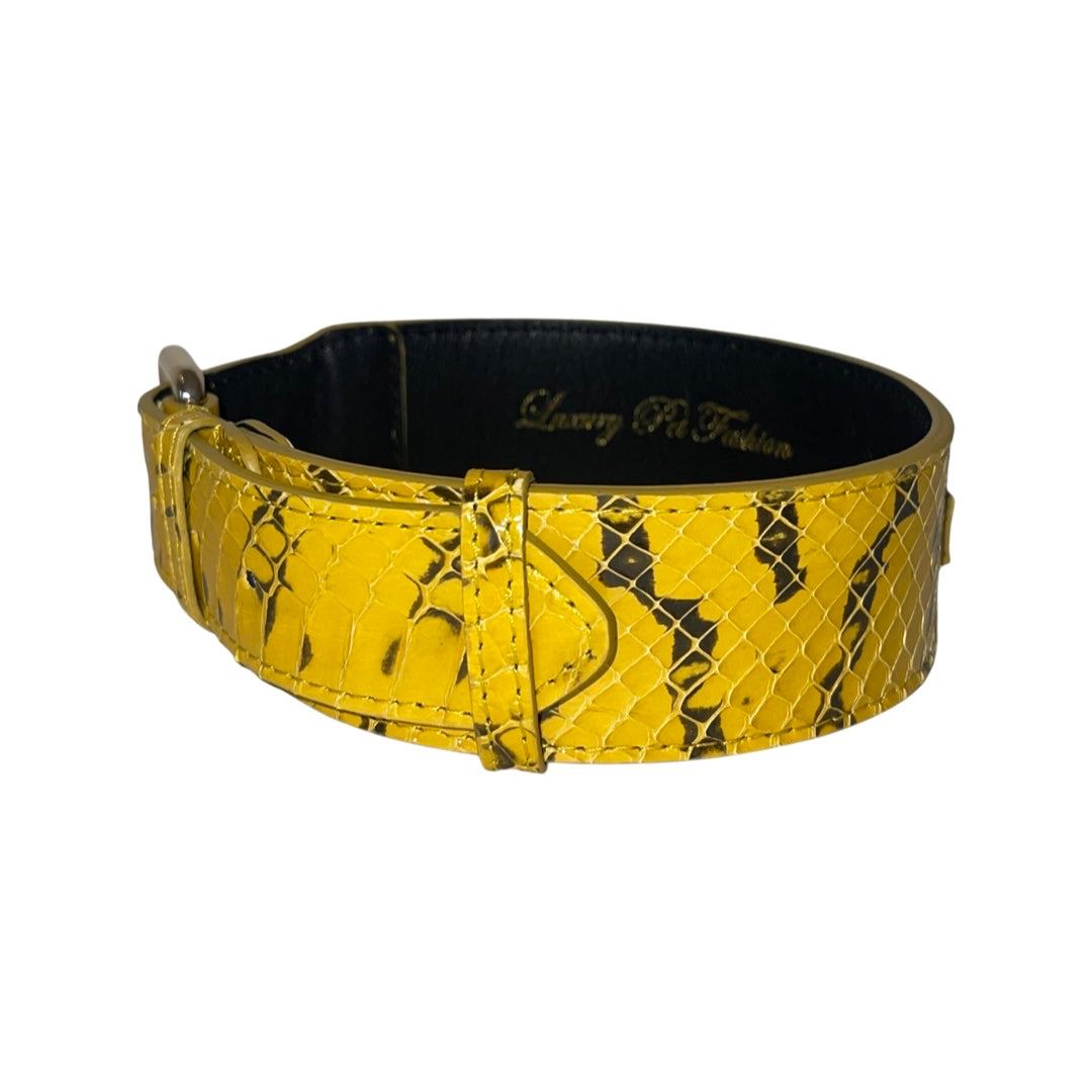 Mustard Yellow &amp; Black Snake Classic Collar