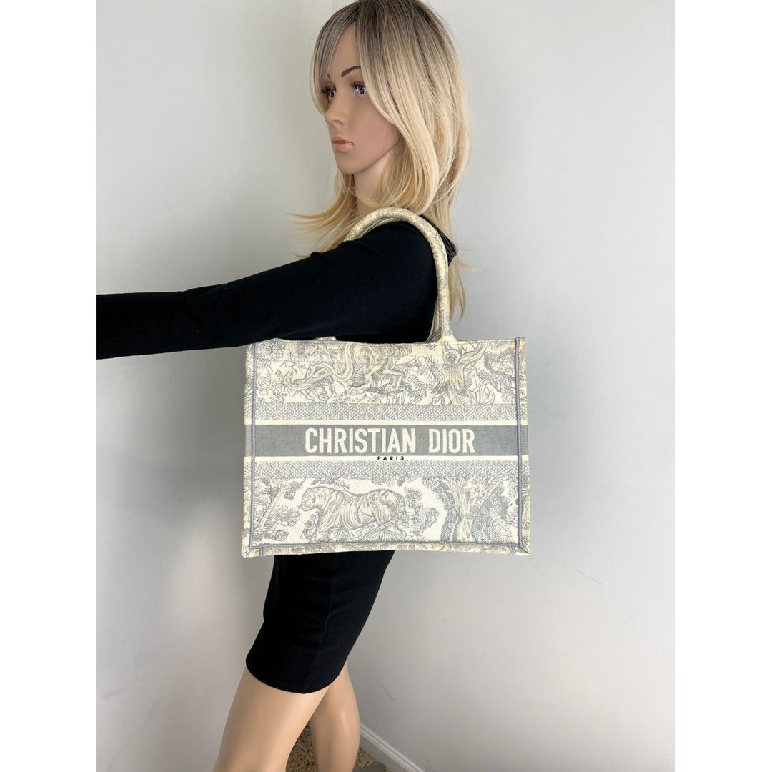 Person holding a Christian Dior bag against a plain background