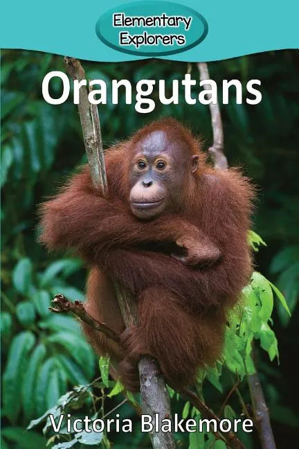 Orangutans - Paperback