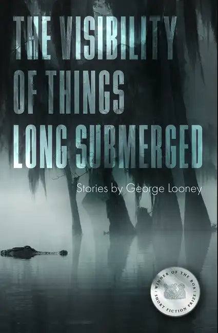 The Visibility of Things Long Submerged - Paperback