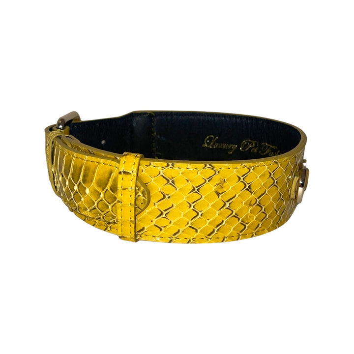 Mustard Yellow &amp; Black Snake Classic Collar