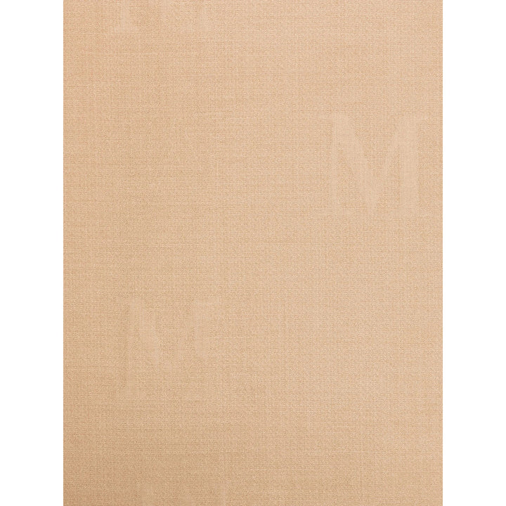 Max Mara Neutrals Scarves Women