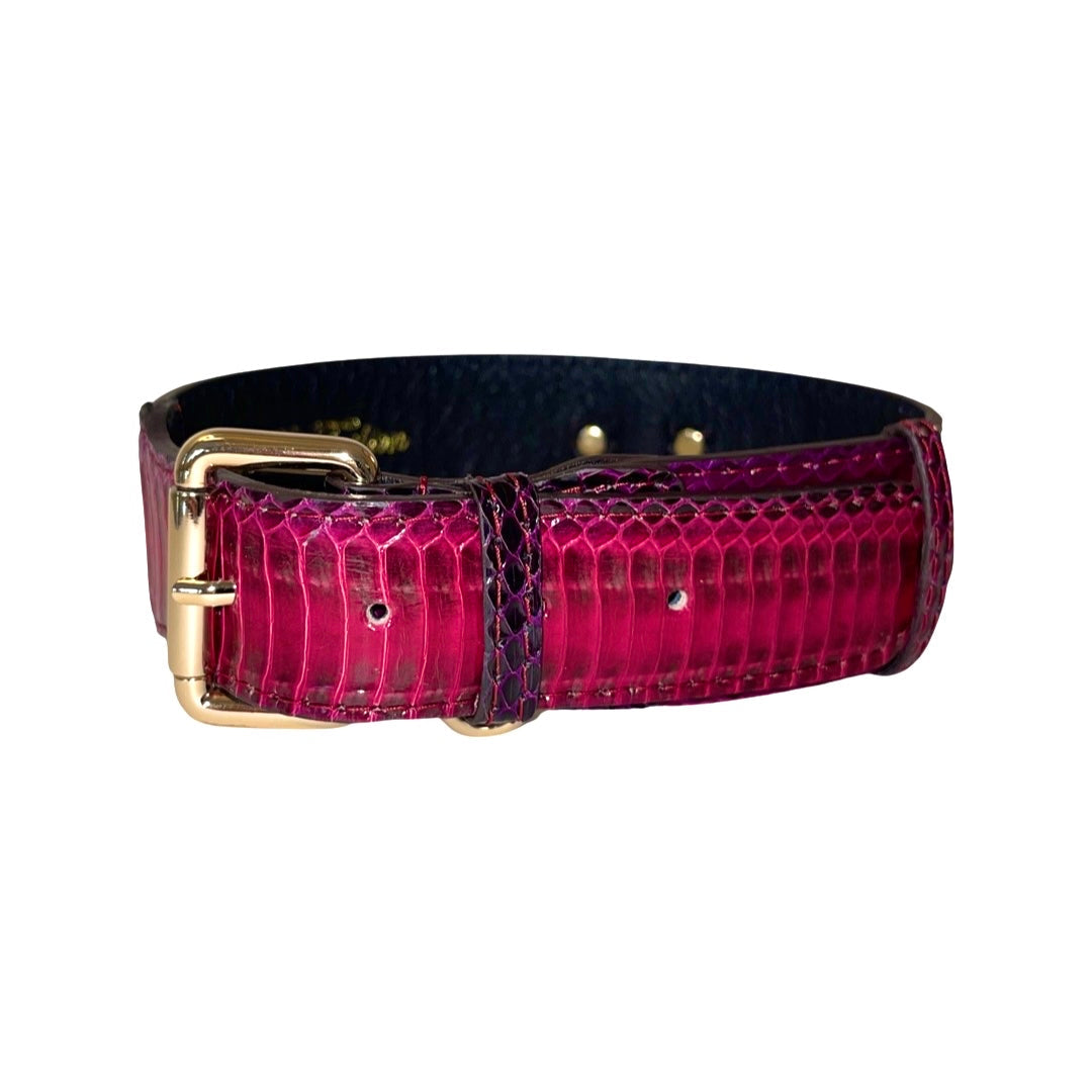 Ruby Red &amp; Purple Snake Classic Collar
