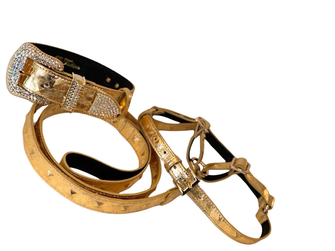 Glam Gold Embossed Studded Italian Leather Collar, Leash &amp; Harness Set With Our Custom Swarovski Crystal Buckle