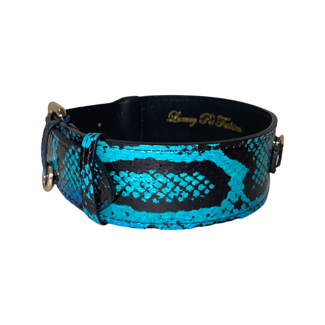 Electric/Turquoise Blue &amp; Black Snake Classic Collar With Gold Classic Hardware