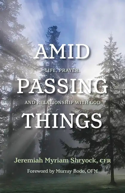 Amid Passing Things: Life, Prayer, and Relationship with God - Paperback
