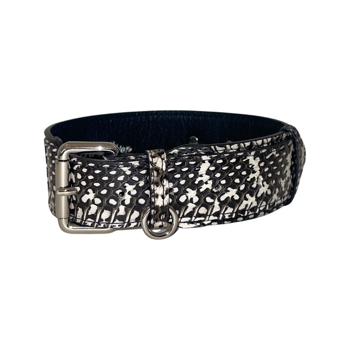 Black &amp; White Classic Snake Collar