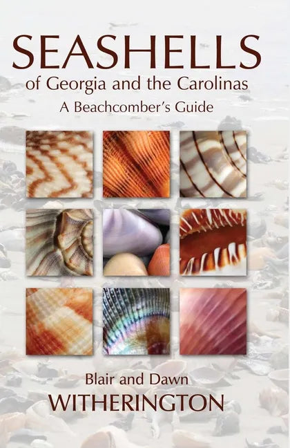 Seashells of Georgia and the Carolinas: A Beachcomber's Guide - Paperback