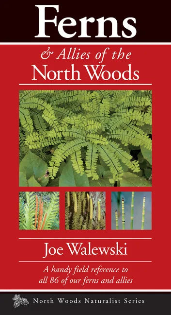 Ferns & Allies of the North Woods: A Handy Field Reference to All 86 of Our Ferns and Allies - Paperback