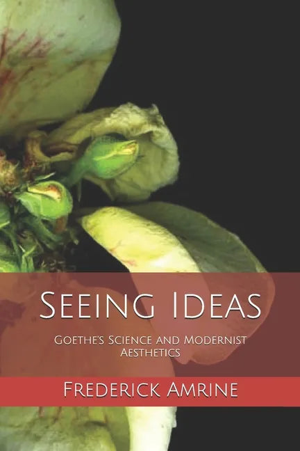 Seeing Ideas: Goethe's Science and Modernist Aesthetics - Paperback