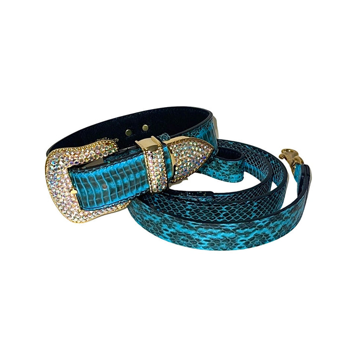 Turquoise &amp; Black Swarovski Crystal Hardware Snake Collar &amp; Leash Set