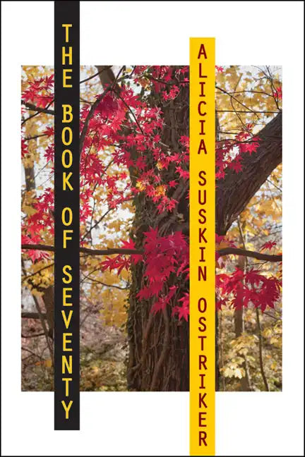 The Book of Seventy - Paperback