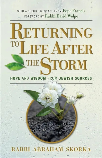 Returning to Life After the Storm - Hardcover