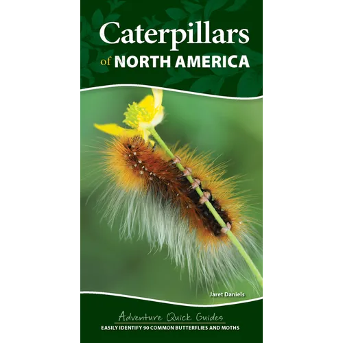 Caterpillars of North America: Easily Identify 90 Common Butterflies and Moths - Spiral