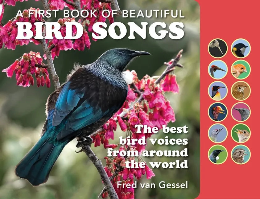 A Book of Beautiful Bird Songs: The Best Bird Voices from Around the World - Hardcover