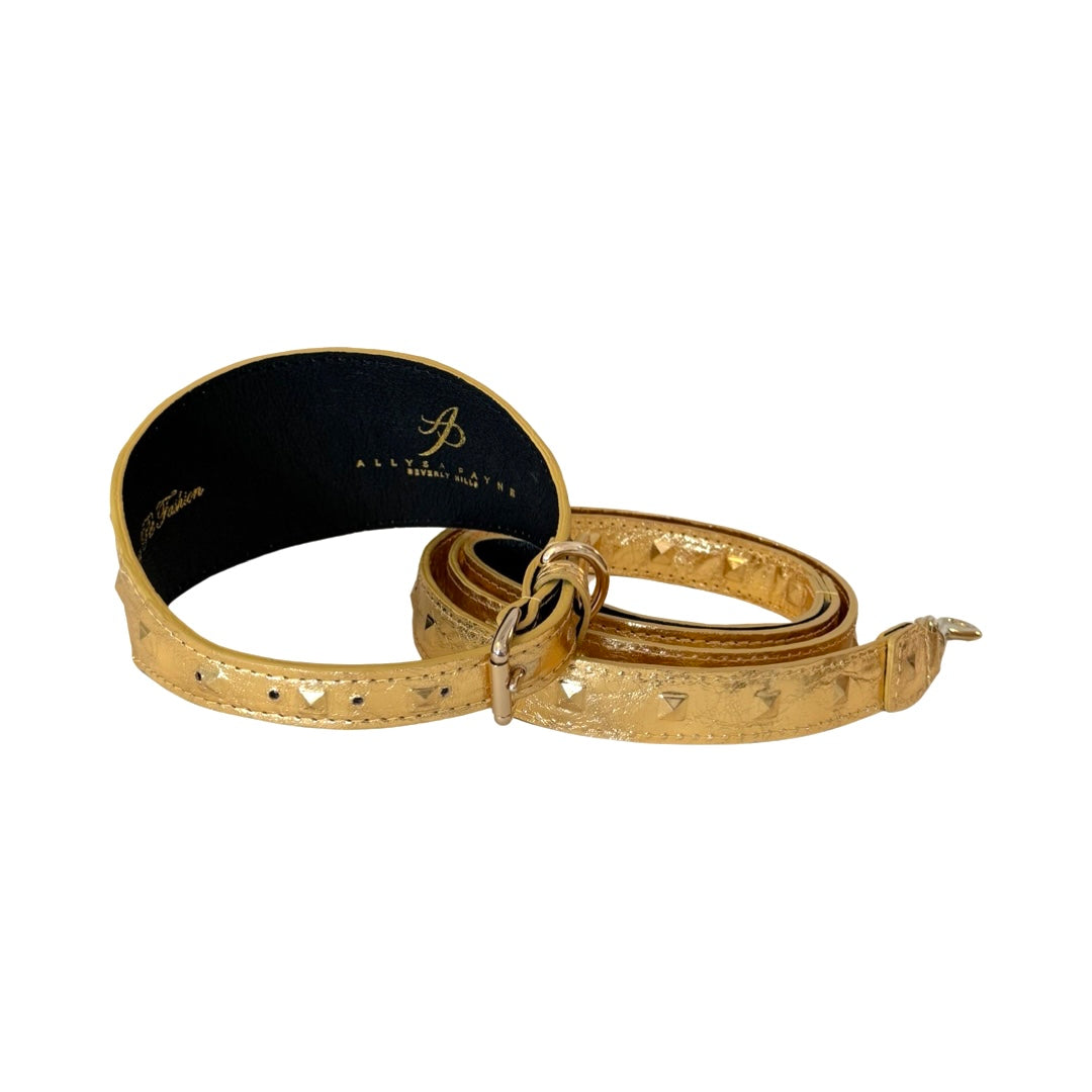Glam Gold Embossed Studded Italian Leather 3” Wide Style Collar &amp; Leash Set