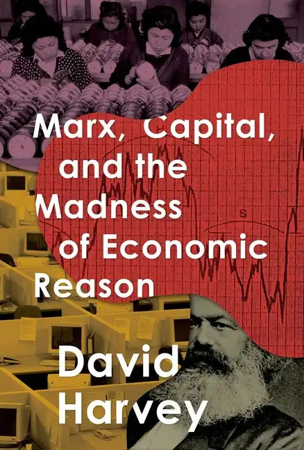 Marx, Capital, and the Madness of Economic Reason - Hardcover