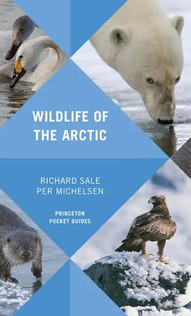 Wildlife of the Arctic - Paperback