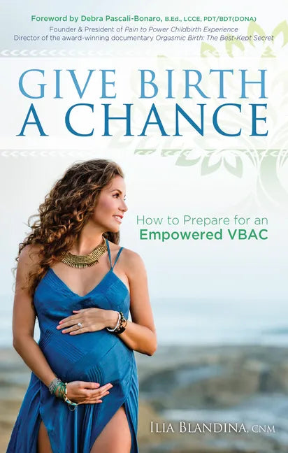Give Birth a Chance: How to Prepare for an Empowered Vbac - Paperback