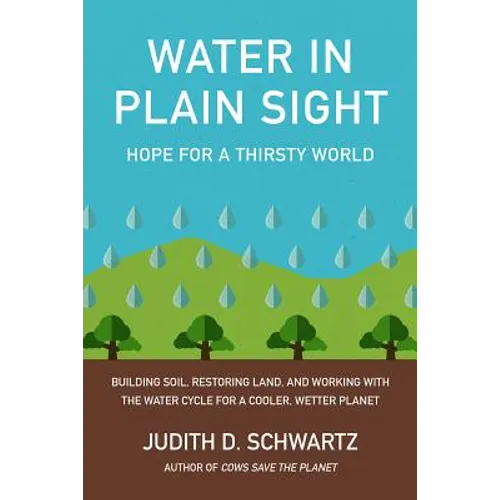 Water in Plain Sight: Hope for a Thirsty World - Paperback