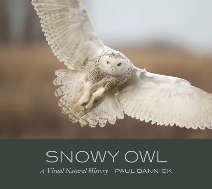 Snowy Owl: A Visual Natural History - Hardcover