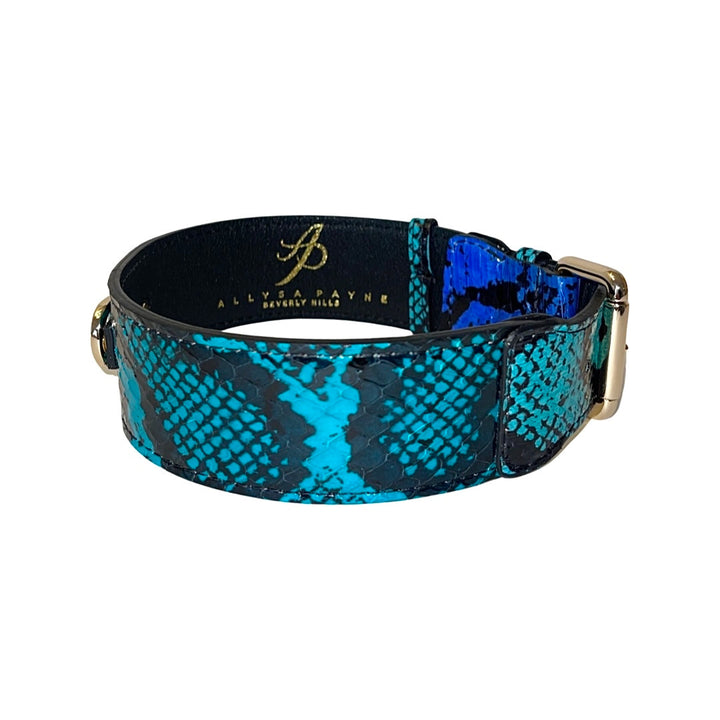 Electric/Turquoise Blue &amp; Black Snake Classic Collar With Gold Classic Hardware