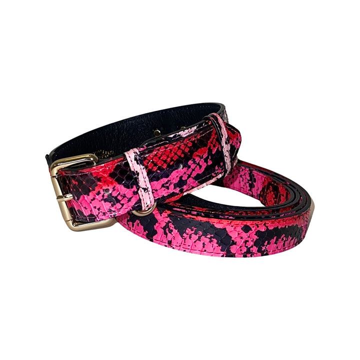 Fuchsia/Light Pink/Red &amp; Black Snake Classic Collar &amp; Leash Set