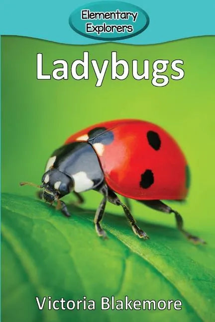 Ladybugs - Paperback