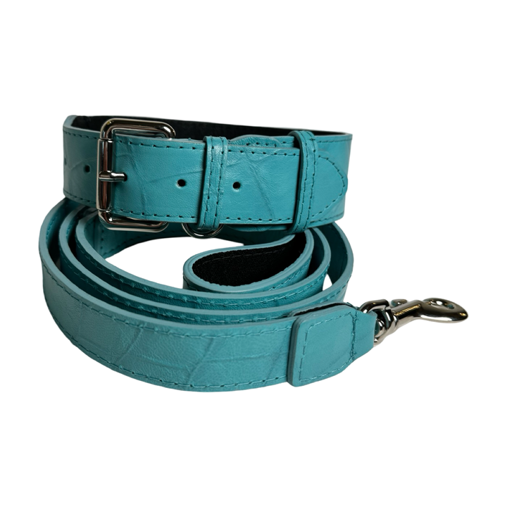 The Tiffany Collection. Gorgeous Turquoise Blue Embossed Croc Italian Leather Collar &amp; Leash Set, With Our Classic Silver Hardware.
