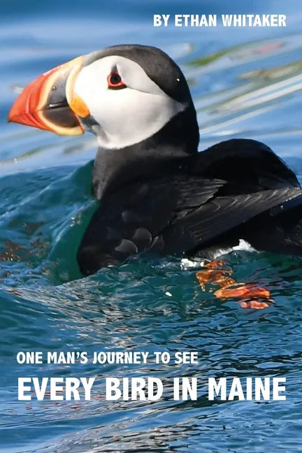 Every Bird in Maine: One Man's Journey to See Every Bird in Maine - A Photographic Account of a Maine Big Year in Birding - Paperback