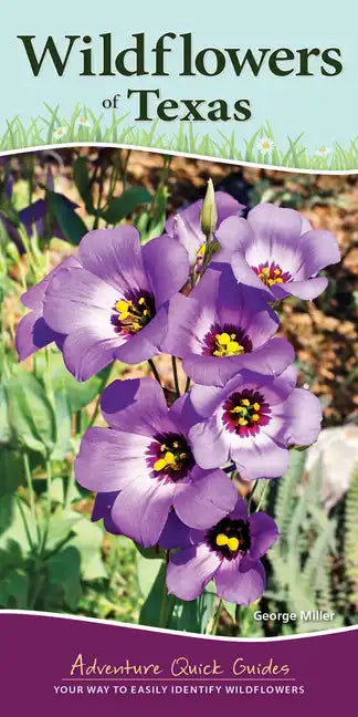 Wildflowers of Texas: Your Way to Easily Identify Wildflowers - Spiral