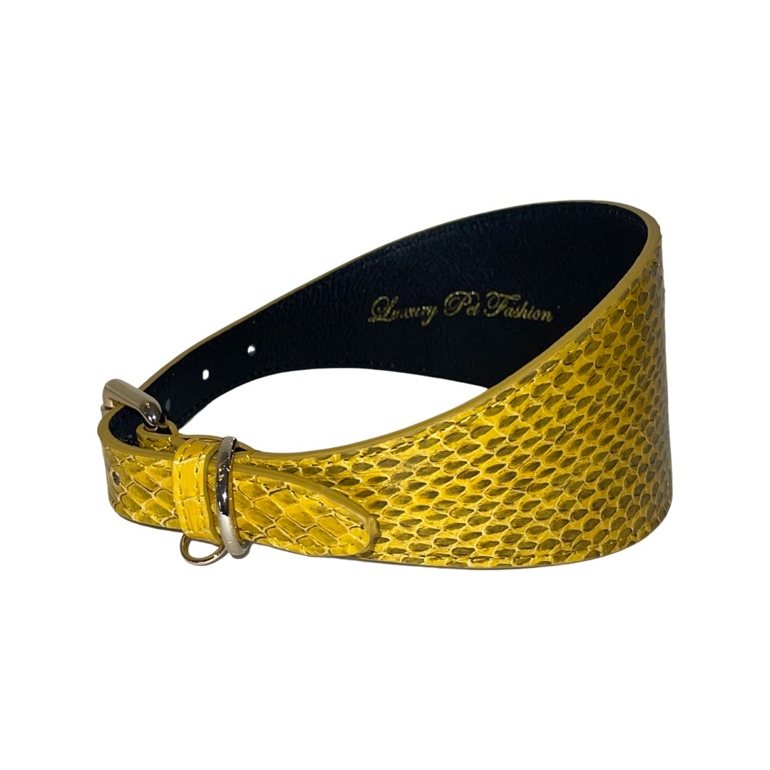 Mustard Yellow &amp; Black Snake 3” Wide Style Collar