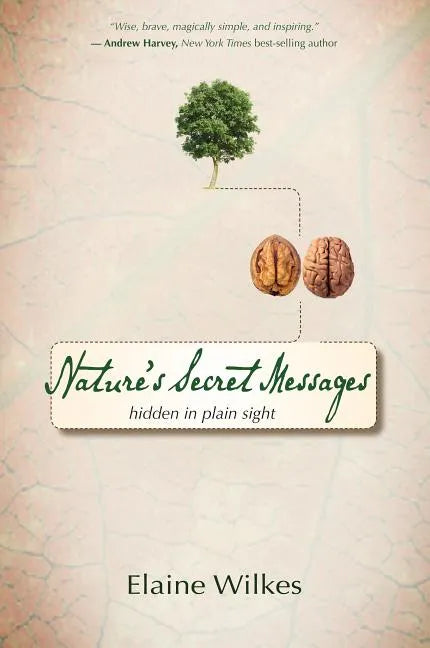 Nature's Secret Messages: Hidden in Plain Sight - Paperback