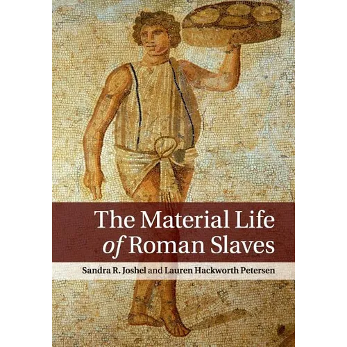 The Material Life of Roman Slaves - Paperback