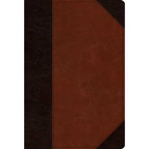 ESV Men's Study Bible (Trutone, Brown/Cordovan, Portfolio Design) - Imitation Leather