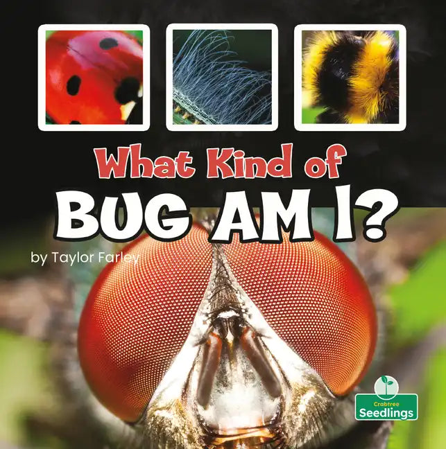 What Kind of Bug Am I? - Paperback