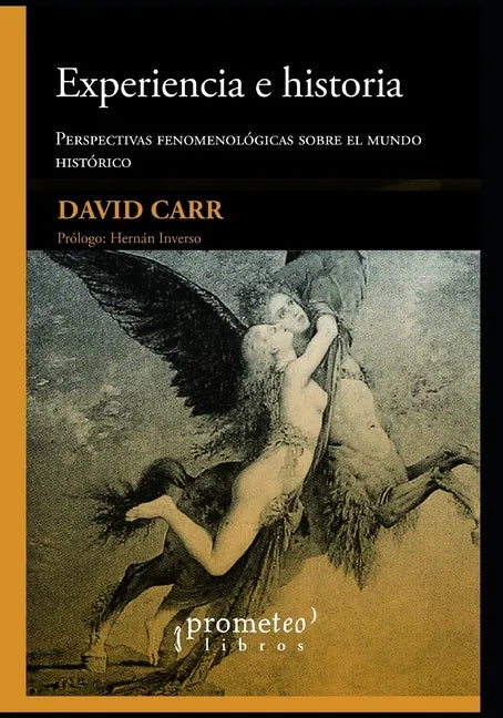 Experiencia e historia: Perspectivas fenomenológicas sobre el tiempo histórico - Paperback