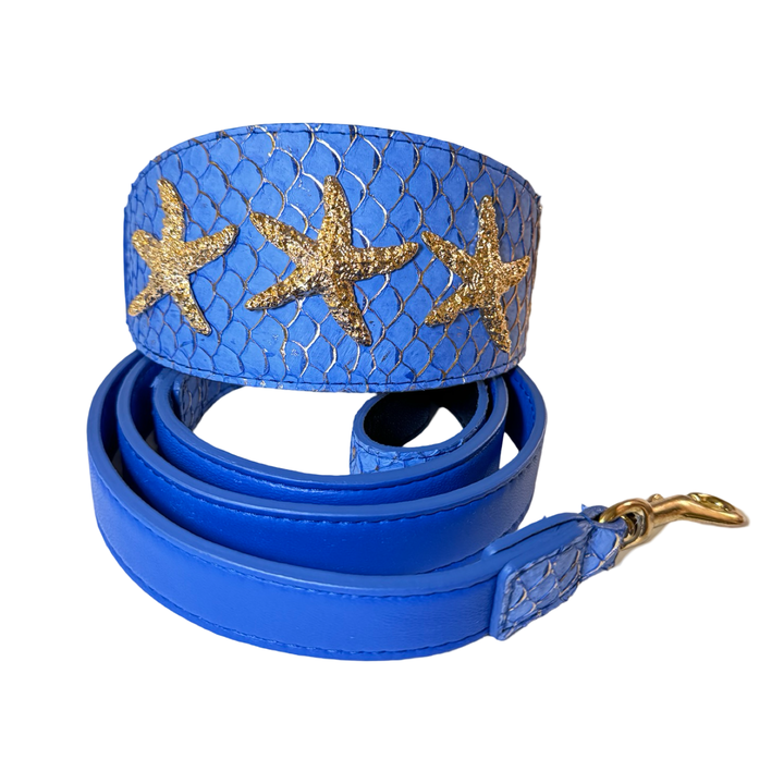 Malibu Star Collar &amp; Leash Set