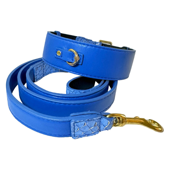 Malibu Classic Collar &amp; Leash Set