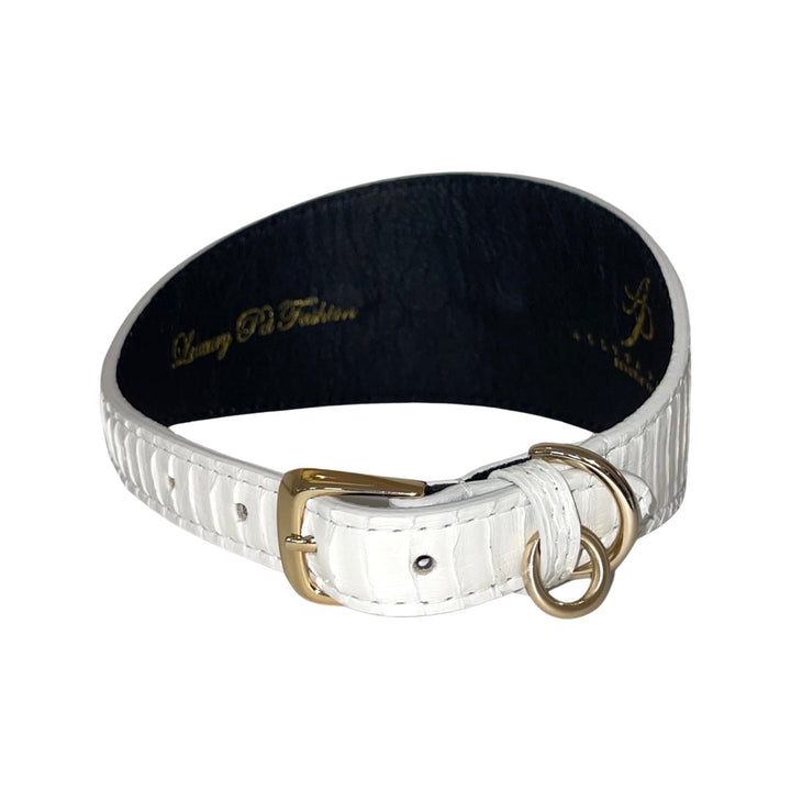 Stunning Matte White 3” Wide Style Collar &amp; Leash Set, With Our Custom Swarovski Rivets