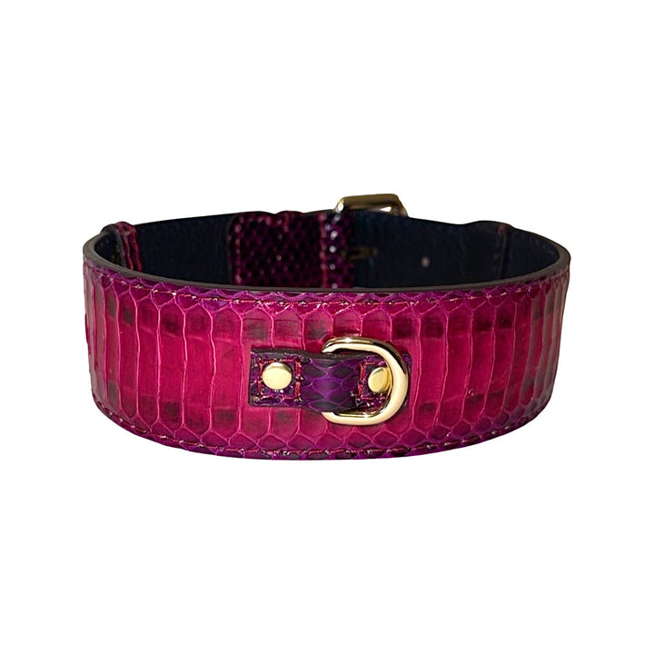 Ruby Red &amp; Purple Snake Classic Collar