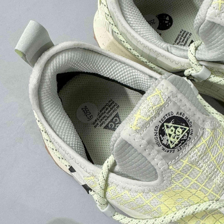 Nike ACG Mountain Fly Low Gore-Tex SE &