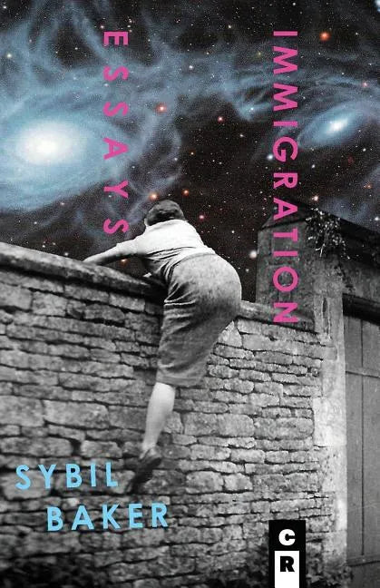 Immigration Essays - Paperback