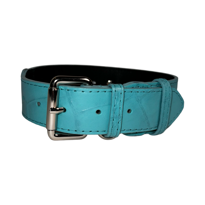 The Tiffany Collection. Gorgeous Turquoise Blue Embossed Croc Italian Leather Collar, With Our Classic Silver Hardware