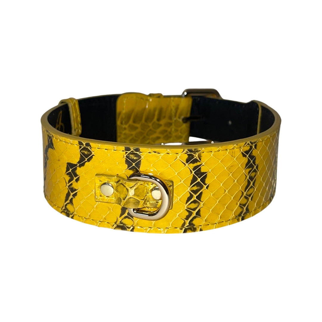 Mustard Yellow &amp; Black Snake Classic Collar