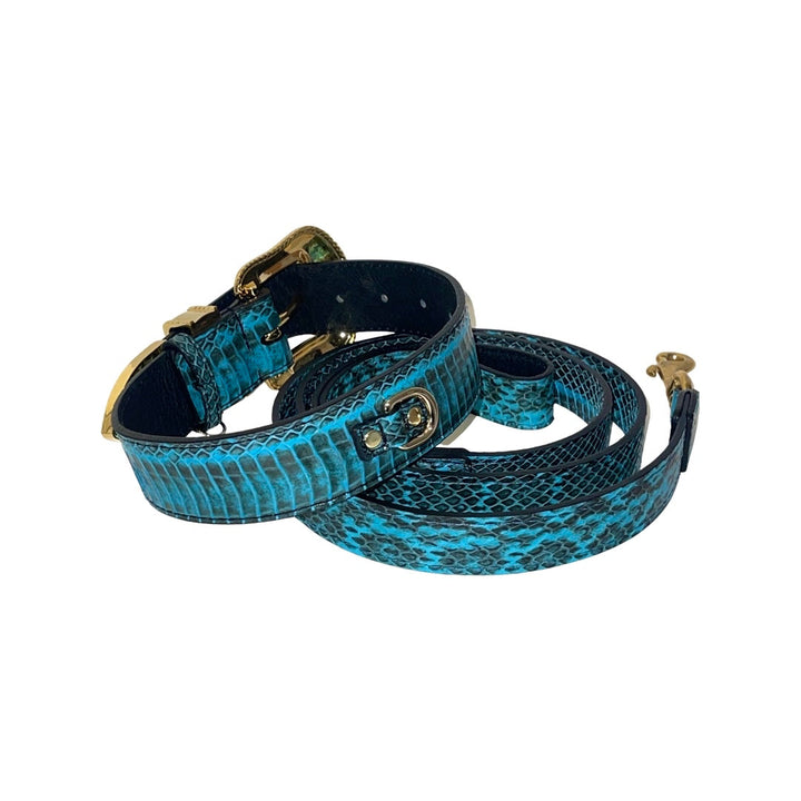 Turquoise &amp; Black Swarovski Crystal Hardware Snake Collar &amp; Leash Set