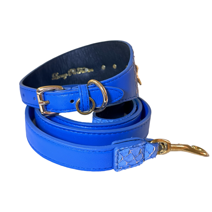 Malibu Star Collar &amp; Leash Set